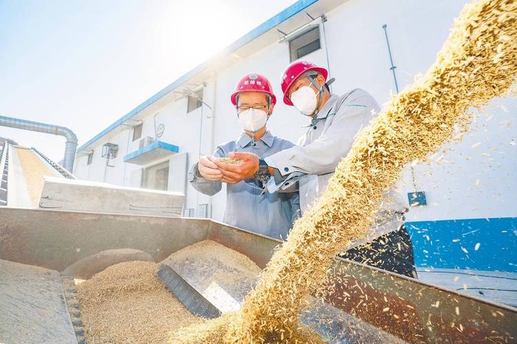 如何确保秋粮颗粒归仓?除了科技储粮,更“智慧”的还有这些