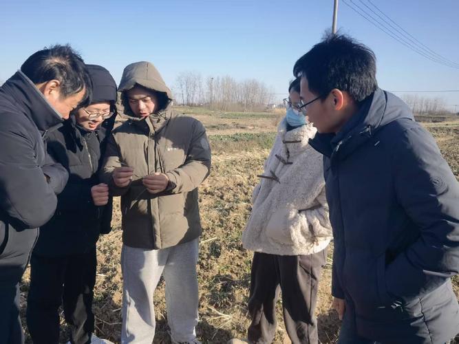 小麦拔节孕穗关键期 农技专家在田间“把脉问诊”助增收