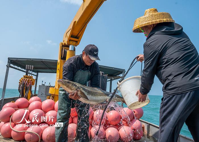 耕海牧渔 多地海产品迎来丰收