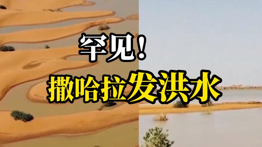 撒哈拉沙漠发洪水,当地人:多年未见