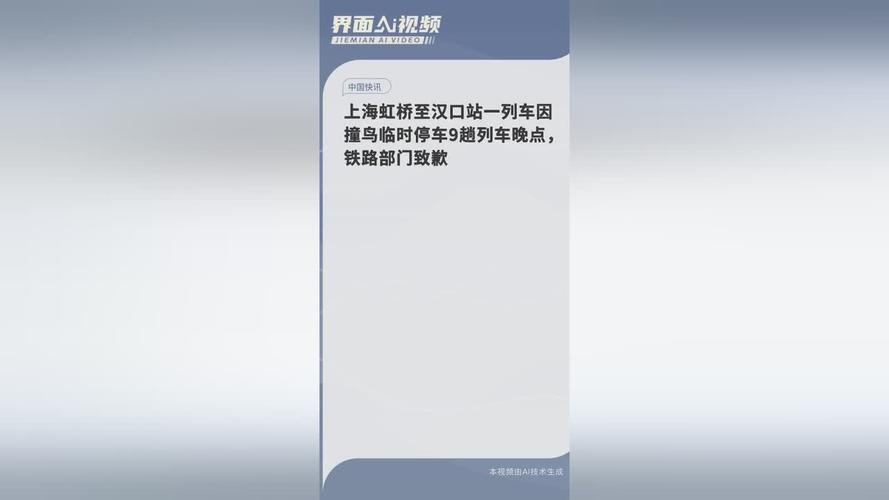 一列车因撞鸟临时停车致9车晚点 铁路部门致歉
