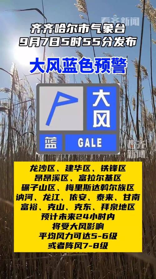 黑龙江省泰来县发布大风蓝色预警_5