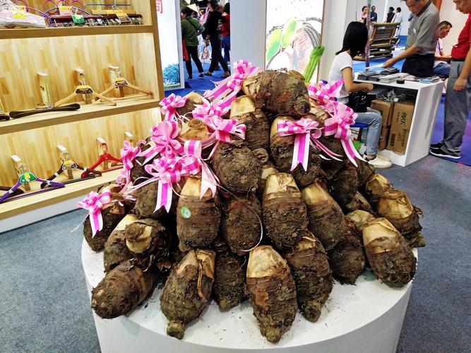 载有芒果干、乳胶枕头等 第21届东盟博览会首批海运展品抵桂