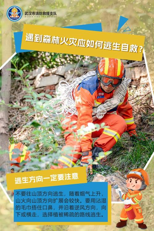 上千人正全力扑救,已转移3396人!四川雅江山火最新消息
