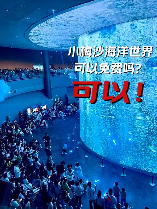 1.5万游客尝鲜小梅沙海洋世界