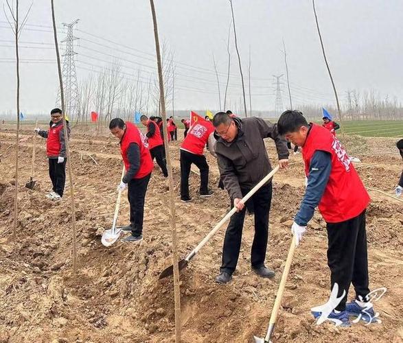 黄南:全域发力植树造林7.2万余株