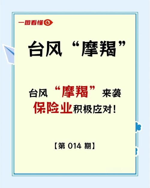 台风来袭,群众人财物损失怎么办?专家:划清法律责任依法获取赔偿