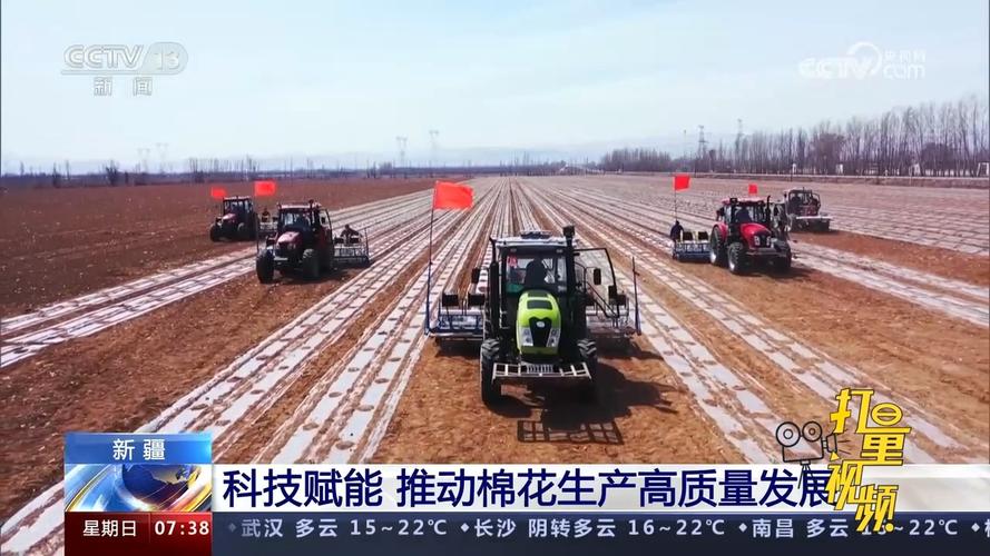 科技赋能 助力新疆棉花提“质”增效
