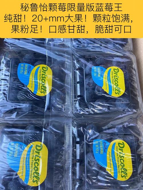 新华全媒+·图片故事|秘鲁“90后”马赛的中国蓝莓梦