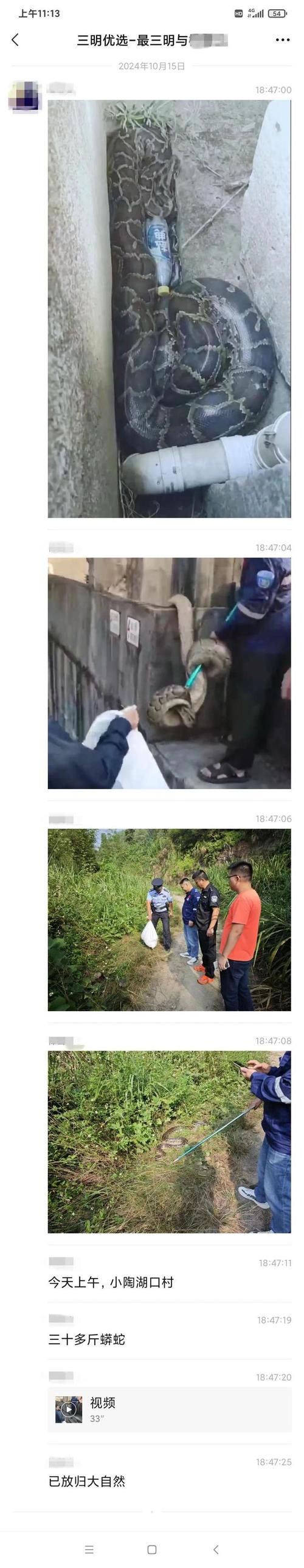 广西天气渐暖 玉林消防一天连抓两条大蟒蛇