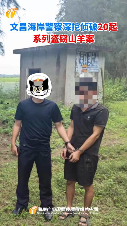 澄迈海岸警察侦破系列盗窃案 抓获嫌疑人3名