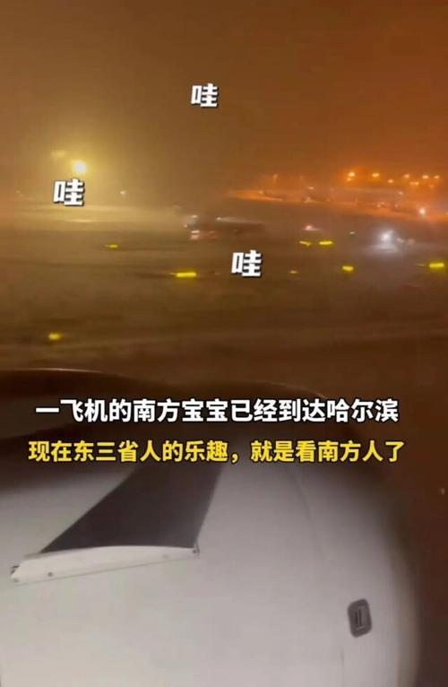 南方“小土豆”勇闯哈尔滨?连冻梨都开始摆盘了!最新通知