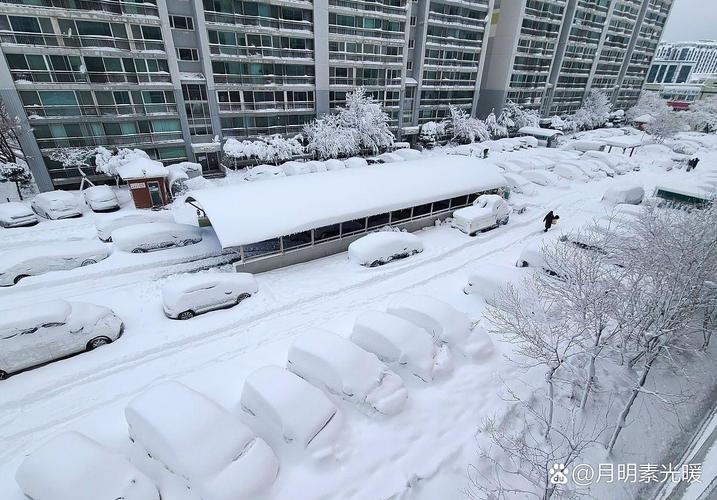 雪花派送中!部分地区大到暴雪 初雪何时到你家?
