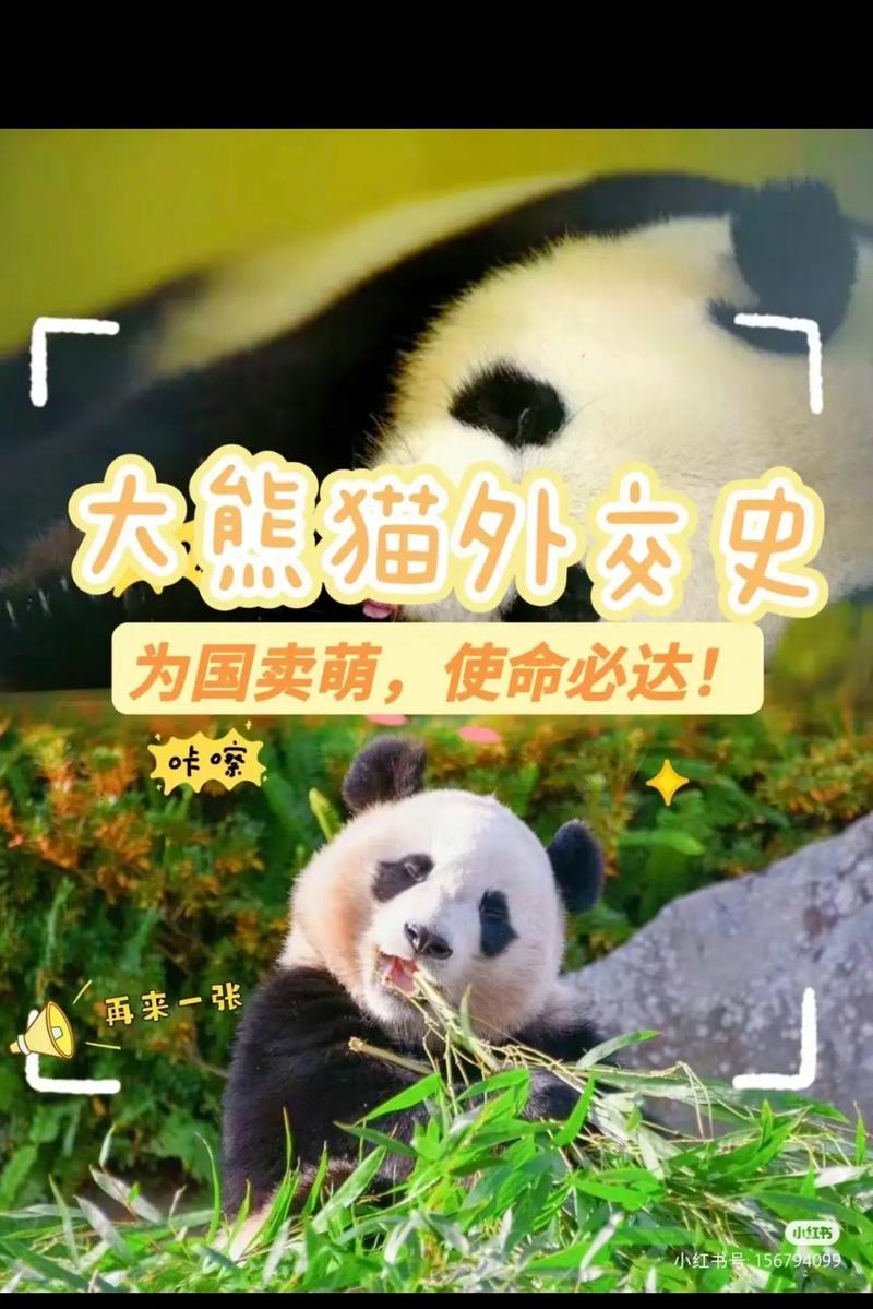 中国科研人员研究发现大熊猫表现出更高的进化或生态潜力