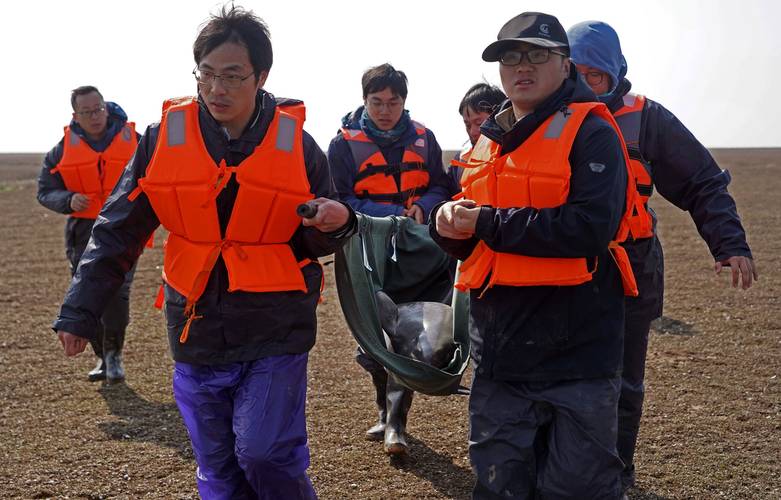 鄱阳湖跌破8米极枯水位线,江西启动红色预警并公布长江江豚等重点保护信息