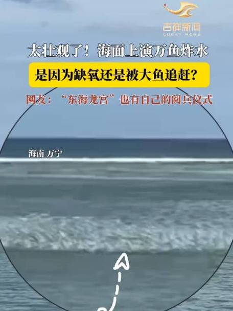 海南万宁海域出现“万鱼炸水”奇观?当地辟谣:拍摄地非万宁
