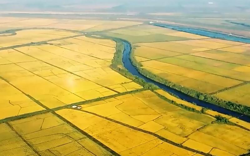 又是一年好“丰”景!全国秋粮已收获59.8%