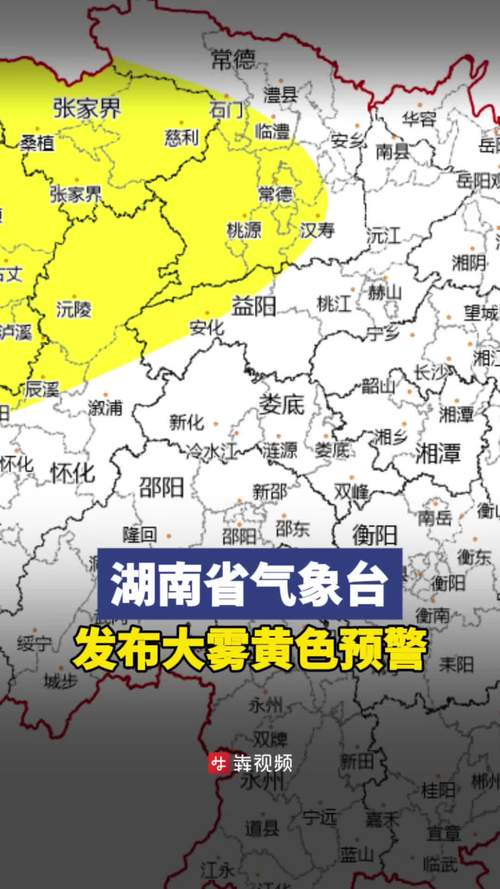 湖南省耒阳市发布大雾黄色预警