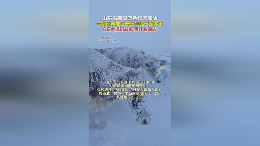 山东省枣庄市发布寒潮蓝色预警_1