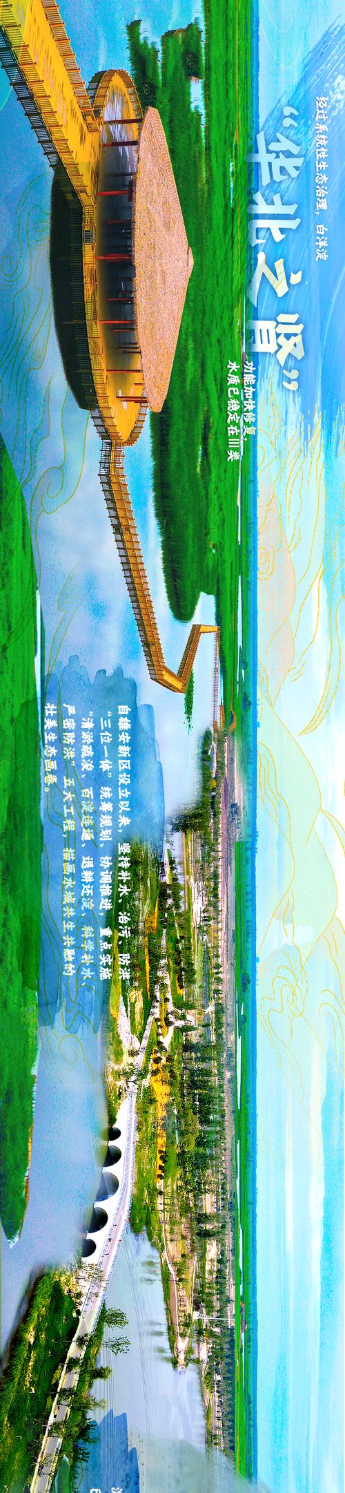 “碳”路者丨只此青绿,共建边疆好风景