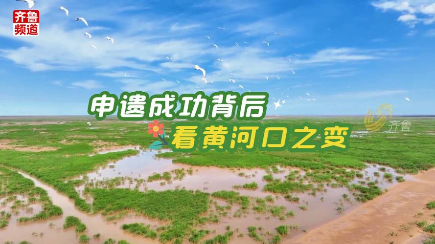中国黄(渤)海候鸟栖息地(第二期)被列入《世界遗产名录》
