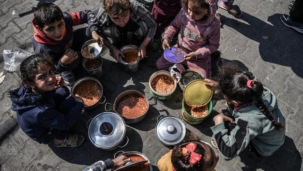 联合国粮农组织:加沙地带粮食不安全状况达到有记录以来最高水平