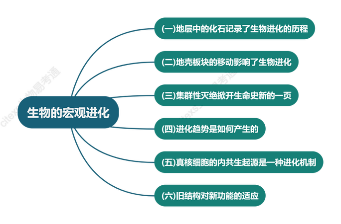 生命科学进化带来的思考