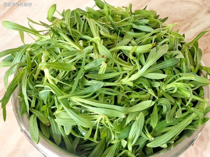 春季在市场上看到这种菜,一定要买一斤回家!清热解毒降血压,舒服!