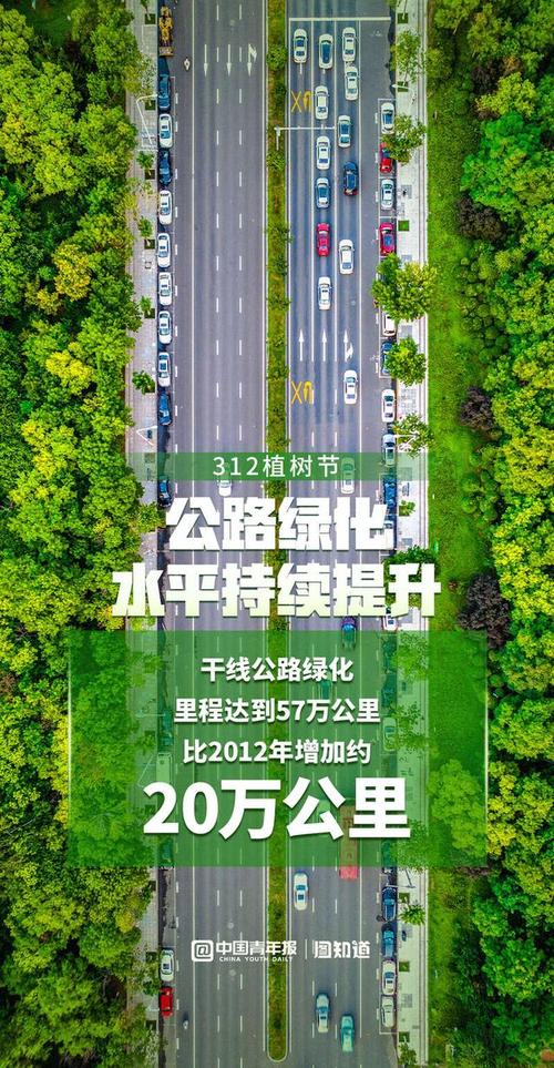 全球约25%新增绿化面积,由中国贡献!