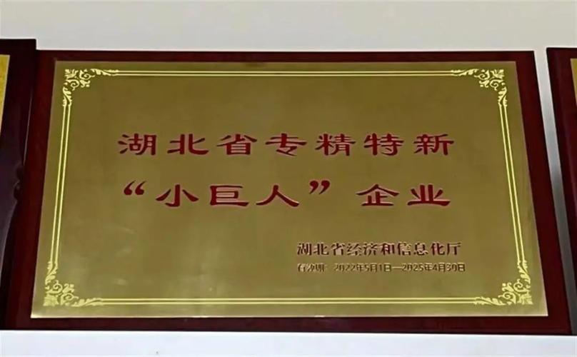 湖南积极探索产融合作新模式 累计撮合专精特新中小企业股权融资超30亿元