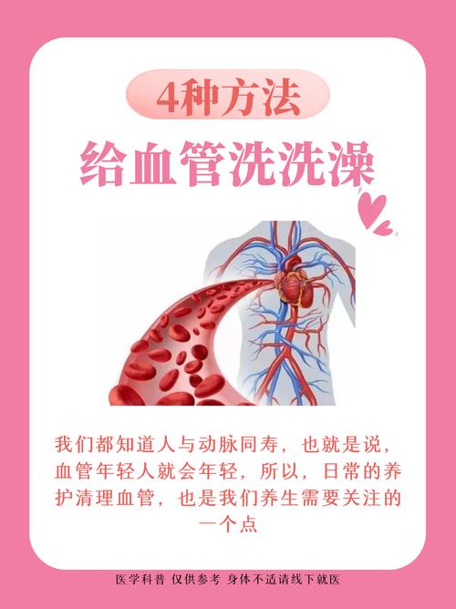 “人与动脉同寿” 做好这四件事,让血管老得慢一点
