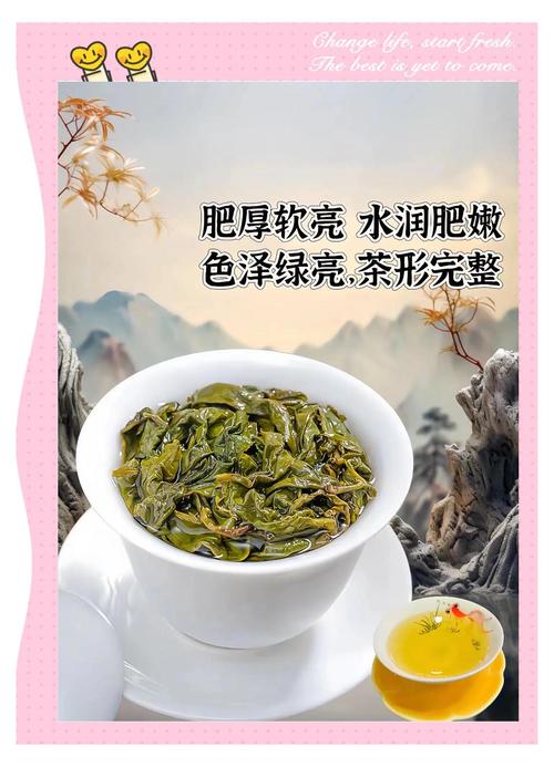 两岸茶农漳州“斗茶” 台湾包揽高山乌龙前三名