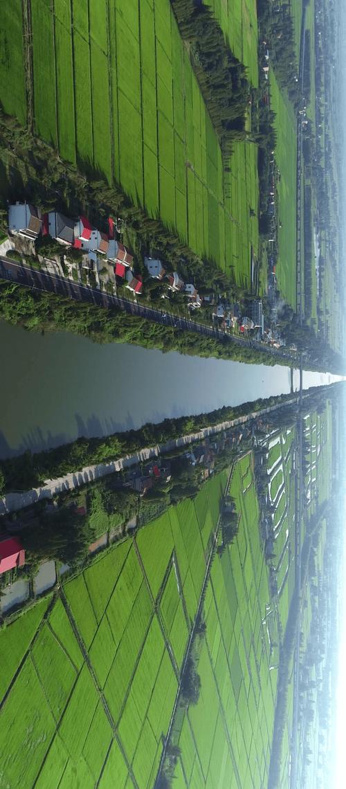 水利部:全面检视洞庭湖区、鄱阳湖区、长江中下游地区高水位堤防