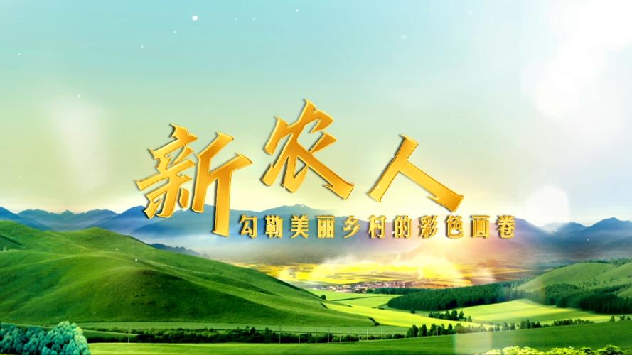 “新农人”马燕青的致富实践:老手艺变身新产业