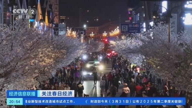 “花”经济 “热”文旅 一城春色带火“赏樱经济”