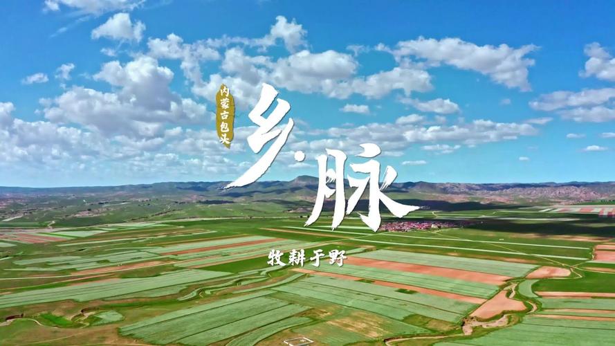 (乡村行·看振兴)遗鸥在内蒙古的消失与回归