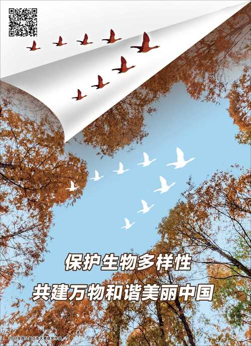 推动“昆蒙框架”落实 共筑生物多样性网络