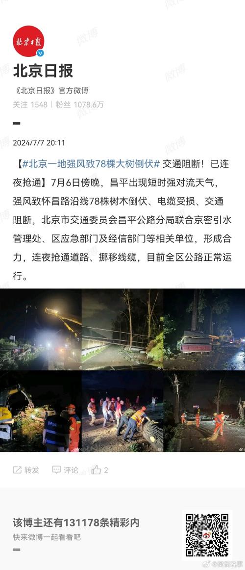 强风致北京昌平78棵树木倒伏 目前已清理完成