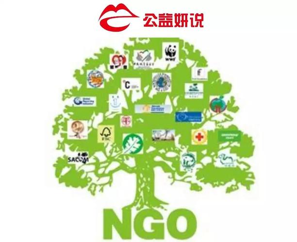 专访丨中国绿色产能使世界更清洁环保——访联合国前副秘书长索尔海姆