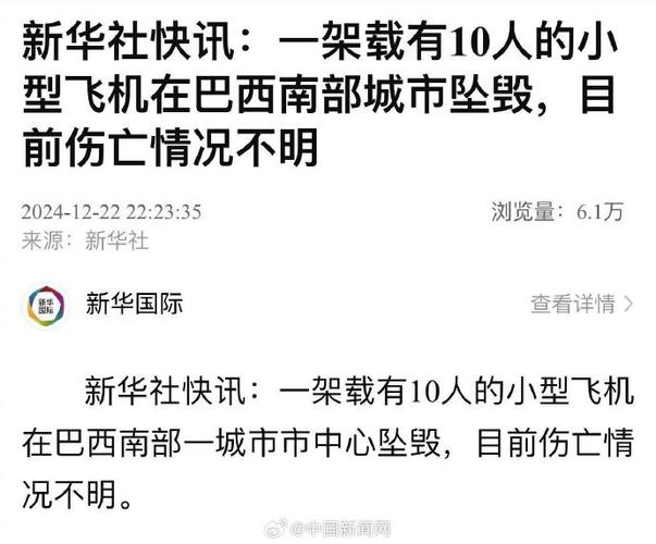 巴西南部一架小型飞机坠毁致10人遇难