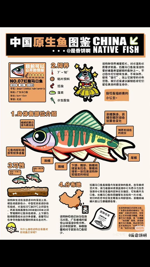 我国华东地区发现鱼类新物种虹彩马口鱼