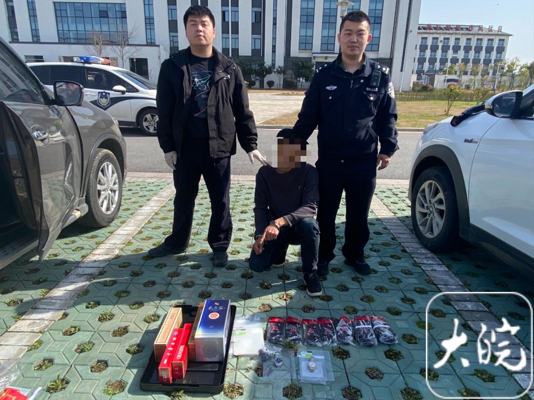 禄丰市公安局罗次派出所破获系列团伙盗窃案