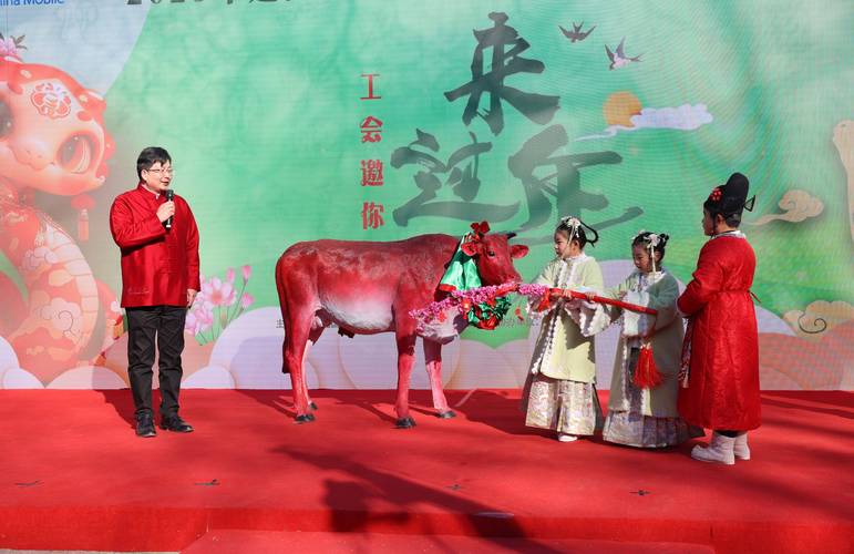 “打春”打出吉祥与祝福 民俗文化琳琅满目 欢欢喜喜过大年