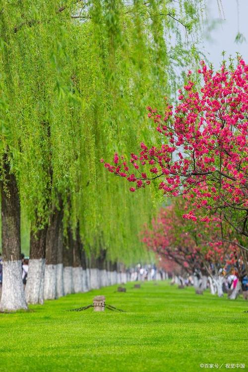 春回大地、万物复苏 一起走进春天里的中国