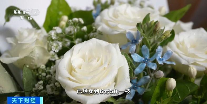 七夕云南鲜花市场需求激增,日均交易800万枝!部分鲜花价格翻倍