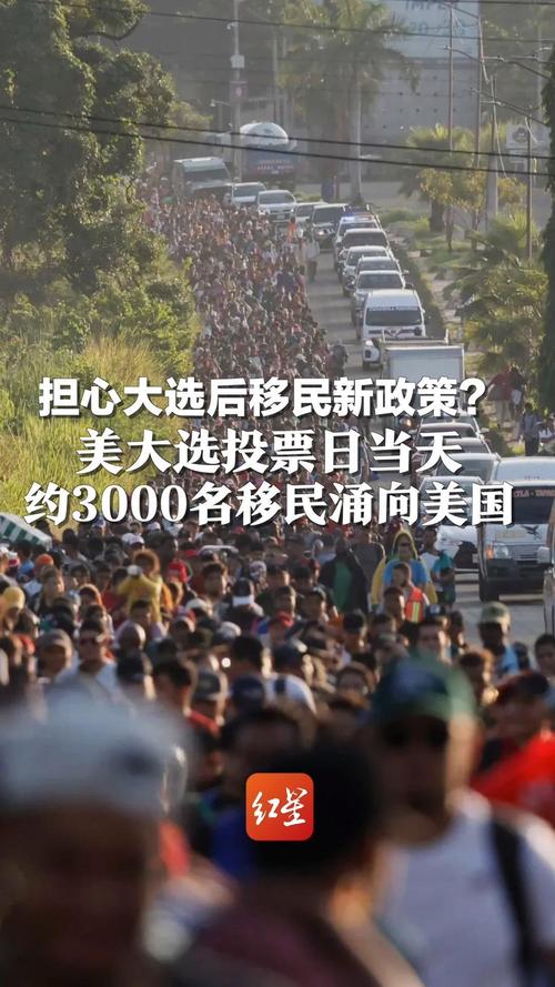 超74000名南非选民在海外参加全国大选投票