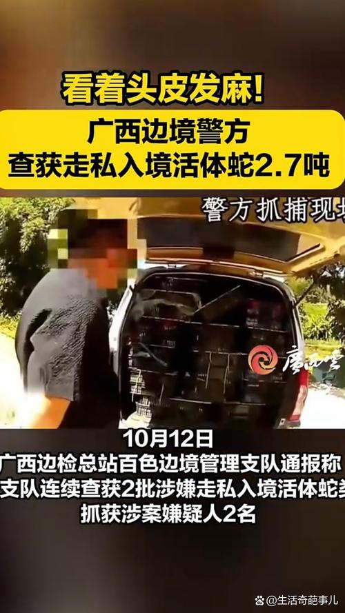 广西靖西边境警方查获走私活体蛇类2.7吨