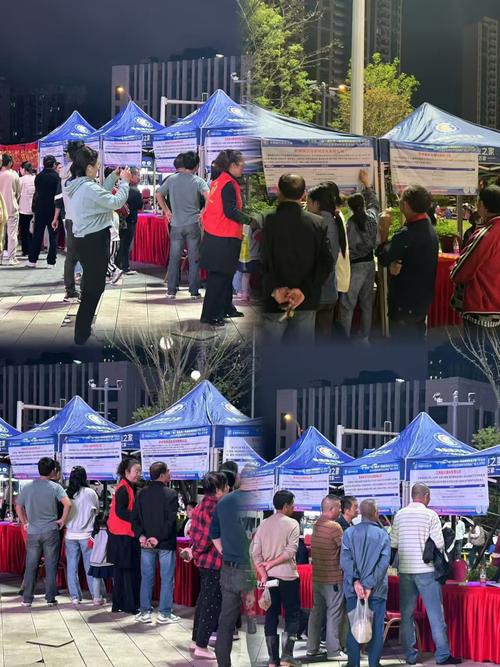 镇原:创新推出“人才夜市”服务模式促就业