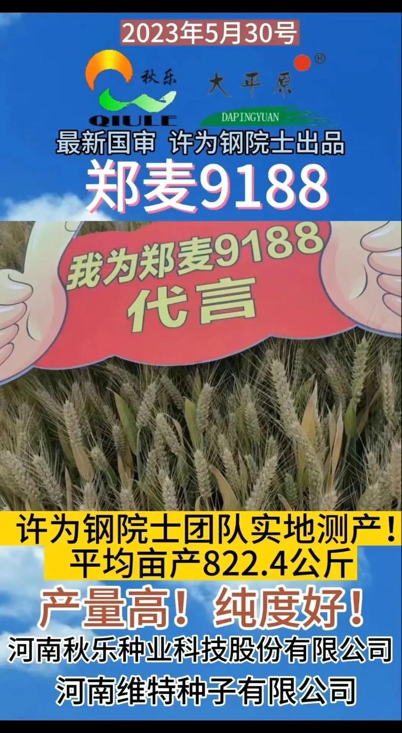 山西省培育的4个小麦品种通过国家审定