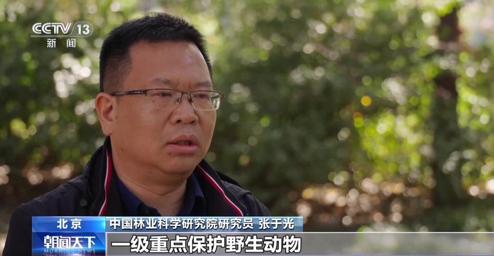 国家林业和草原局:300多种珍稀濒危野生动植物种群数量稳步增长